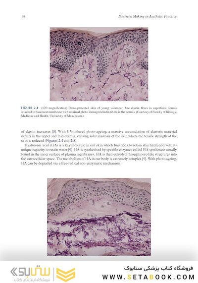 Decision Making in Aesthetic Practice: The Right Procedures for the Right Patients