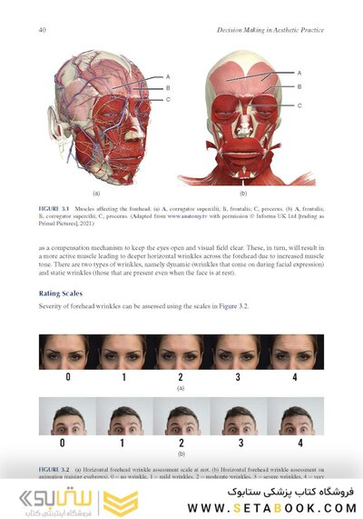 Decision Making in Aesthetic Practice: The Right Procedures for the Right Patients