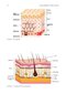 Decision Making in Aesthetic Practice: The Right Procedures for the Right Patients