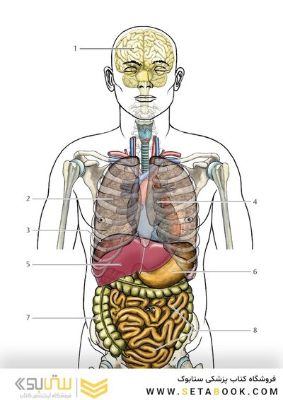 Photographic Atlas of Anatomy2021