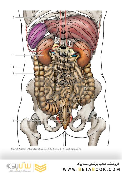 Photographic Atlas of Anatomy2021