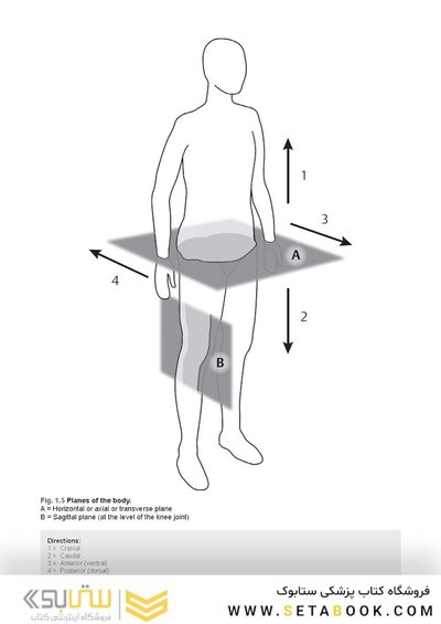 Photographic Atlas of Anatomy2021