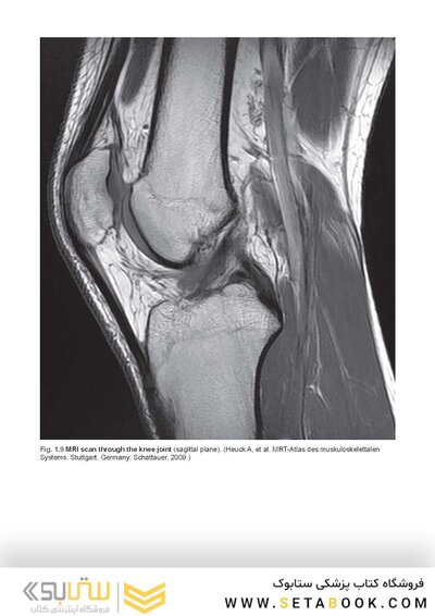 Photographic Atlas of Anatomy2021