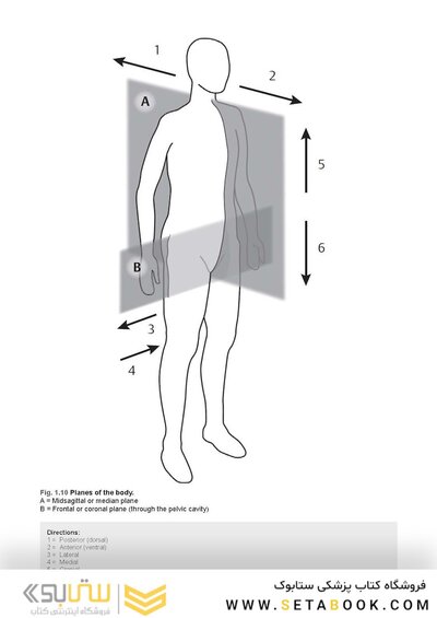Photographic Atlas of Anatomy2021