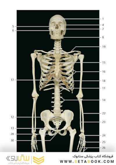Photographic Atlas of Anatomy2021