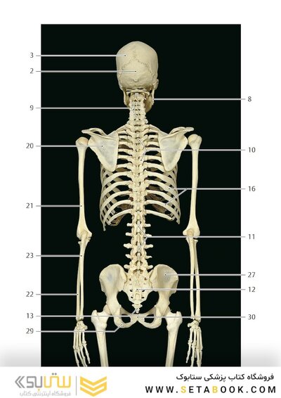 Photographic Atlas of Anatomy2021