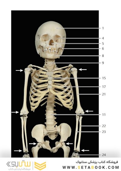 Photographic Atlas of Anatomy2021