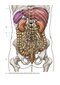 Photographic Atlas of Anatomy2021