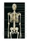 Photographic Atlas of Anatomy2021
