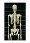 Photographic Atlas of Anatomy2021