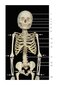 Photographic Atlas of Anatomy2021