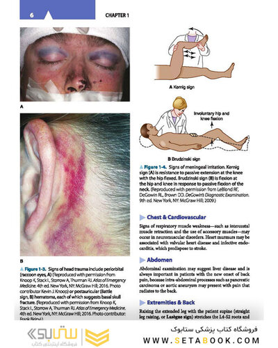 Lange Clinical Neurology, 11th Edition