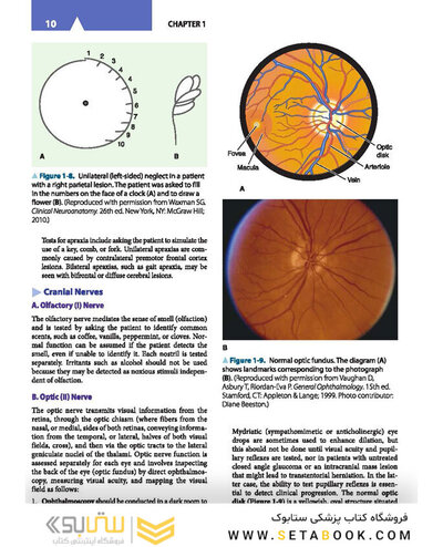 Lange Clinical Neurology, 11th Edition