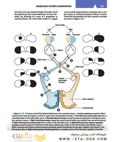 Lange Clinical Neurology, 11th Edition