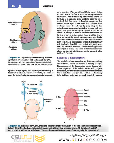 Lange Clinical Neurology, 11th Edition