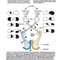 Lange Clinical Neurology, 11th Edition