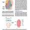 Lange Clinical Neurology, 11th Edition