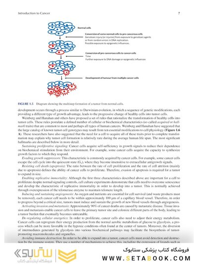 Chemistry and Pharmacology of Anticancer Drugs2021