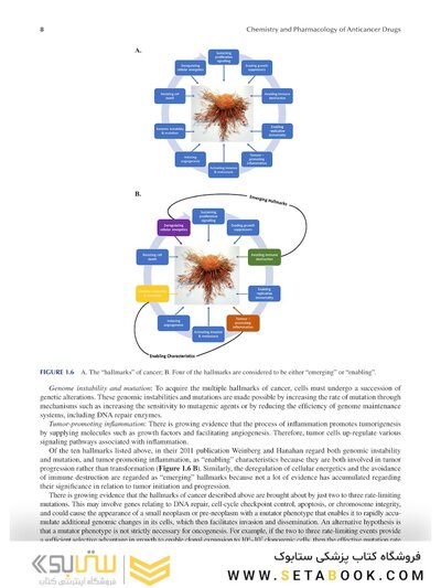Chemistry and Pharmacology of Anticancer Drugs2021