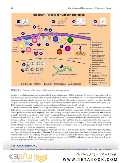 Chemistry and Pharmacology of Anticancer Drugs2021