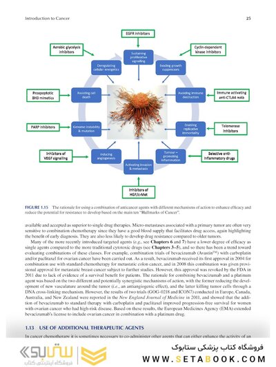 Chemistry and Pharmacology of Anticancer Drugs2021