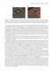 Chemistry and Pharmacology of Anticancer Drugs2021