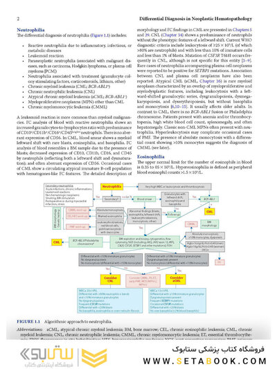 Atlas of Differential Diagnosis in Neoplastic Hematopathology2021
