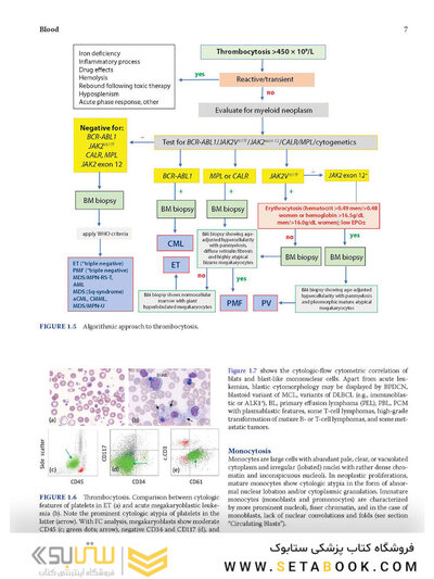Atlas of Differential Diagnosis in Neoplastic Hematopathology2021