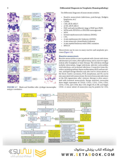 Atlas of Differential Diagnosis in Neoplastic Hematopathology2021