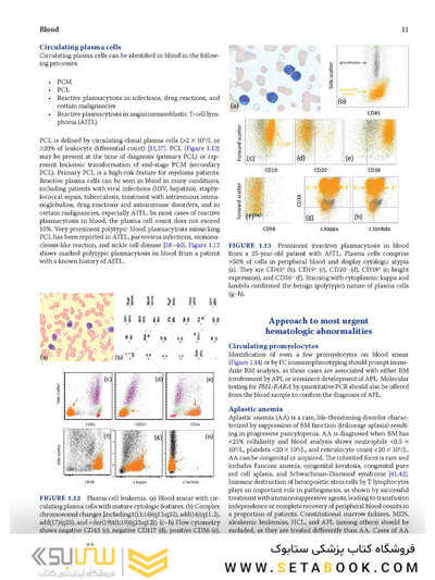Atlas of Differential Diagnosis in Neoplastic Hematopathology2021