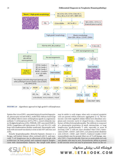 Atlas of Differential Diagnosis in Neoplastic Hematopathology2021