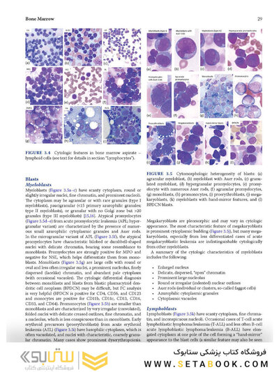 Atlas of Differential Diagnosis in Neoplastic Hematopathology2021