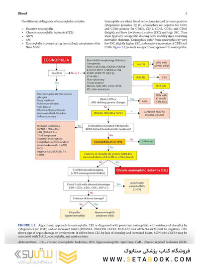 Atlas of Differential Diagnosis in Neoplastic Hematopathology2021