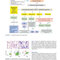 Atlas of Differential Diagnosis in Neoplastic Hematopathology2021