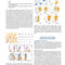 Atlas of Differential Diagnosis in Neoplastic Hematopathology2021