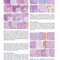 Atlas of Differential Diagnosis in Neoplastic Hematopathology2021