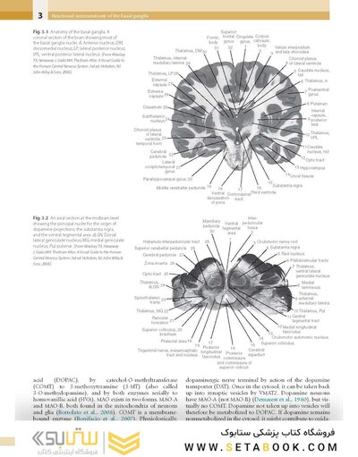 Principles and Practice of Movement Disorders
