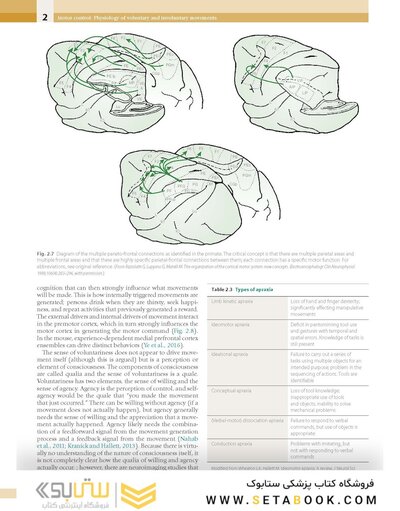 Principles and Practice of Movement Disorders