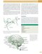 Principles and Practice of Movement Disorders