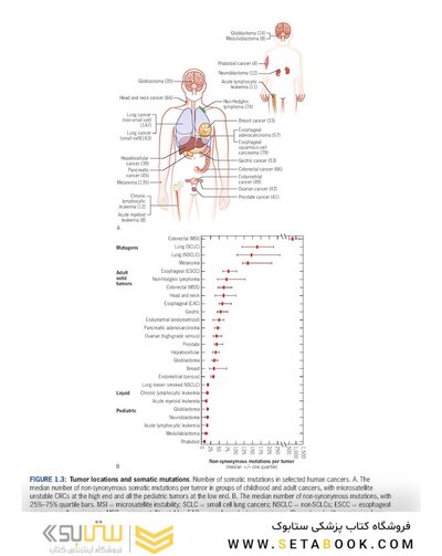 Cancer Genetics: A Clinical Approach 1st Edition
