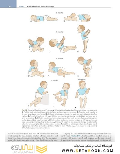 Smith's Anesthesia for Infants and Children 10th Edicion