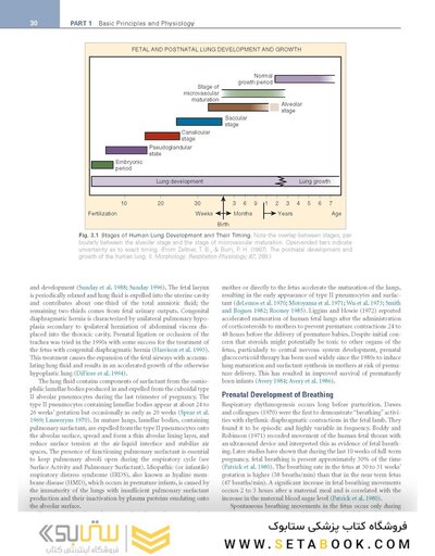 Smith's Anesthesia for Infants and Children 10th Edicion