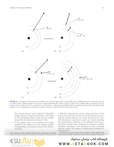 Handbook of Radiotherapy Physics: Theory and Practice, Second Edition, Two Volume Set 2nd Edición