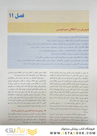 مبانی علوم اعصاب کندل 2021 جلد دوم (فصول 11 تا 16)