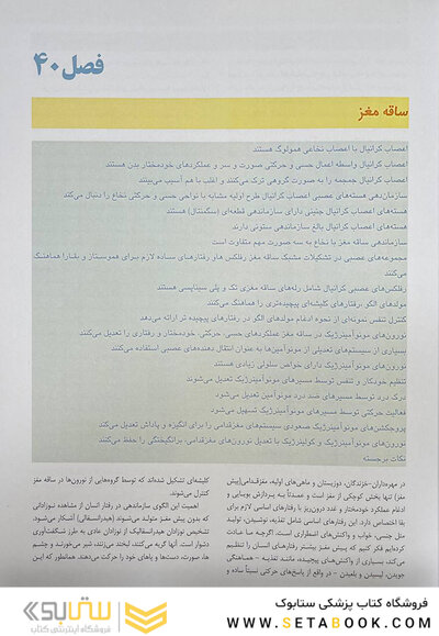 مبانی علوم اعصاب کندل 2021 جلد پنجم(فصول 40 تا 44 )