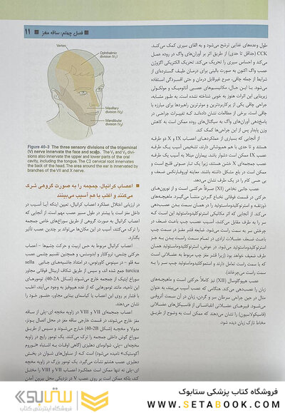 مبانی علوم اعصاب کندل 2021 جلد پنجم(فصول 40 تا 44 )