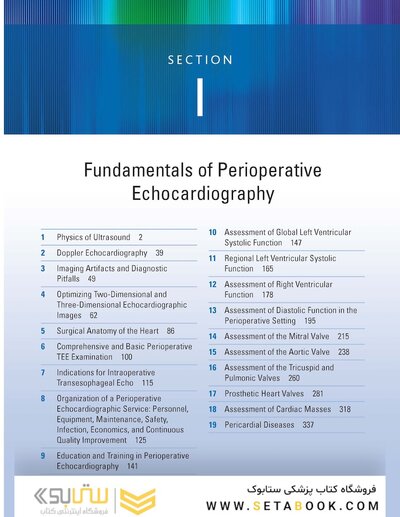Savage & Aronson's Comprehensive Textbook of Perioperative and Critical Care Echocardiography