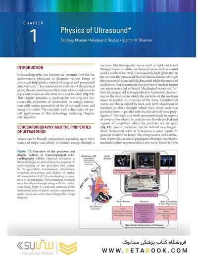 Savage & Aronson's Comprehensive Textbook of Perioperative and Critical Care Echocardiography