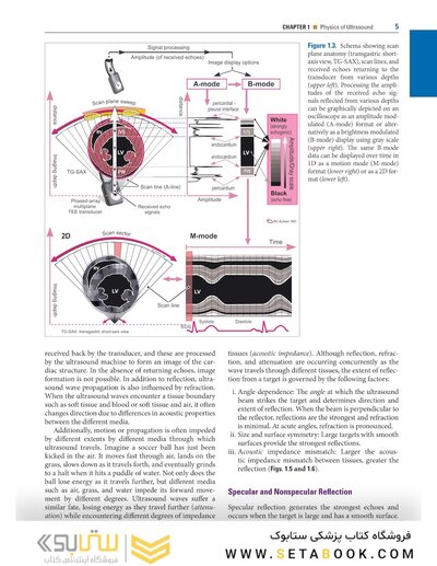 Savage & Aronson's Comprehensive Textbook of Perioperative and Critical Care Echocardiography