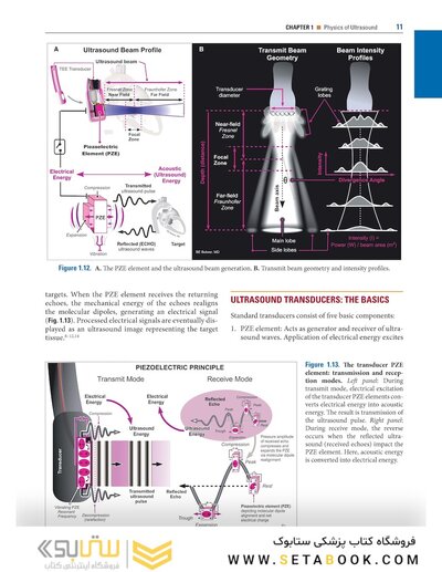 Savage & Aronson's Comprehensive Textbook of Perioperative and Critical Care Echocardiography